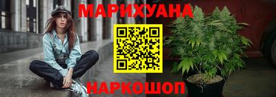 Альфа ПВП Дубна