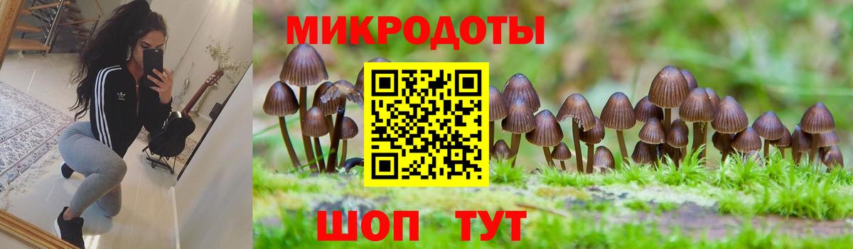 закладка  Вход с VPN  Миллерово  Псилоцибиновые грибы ЛСД 